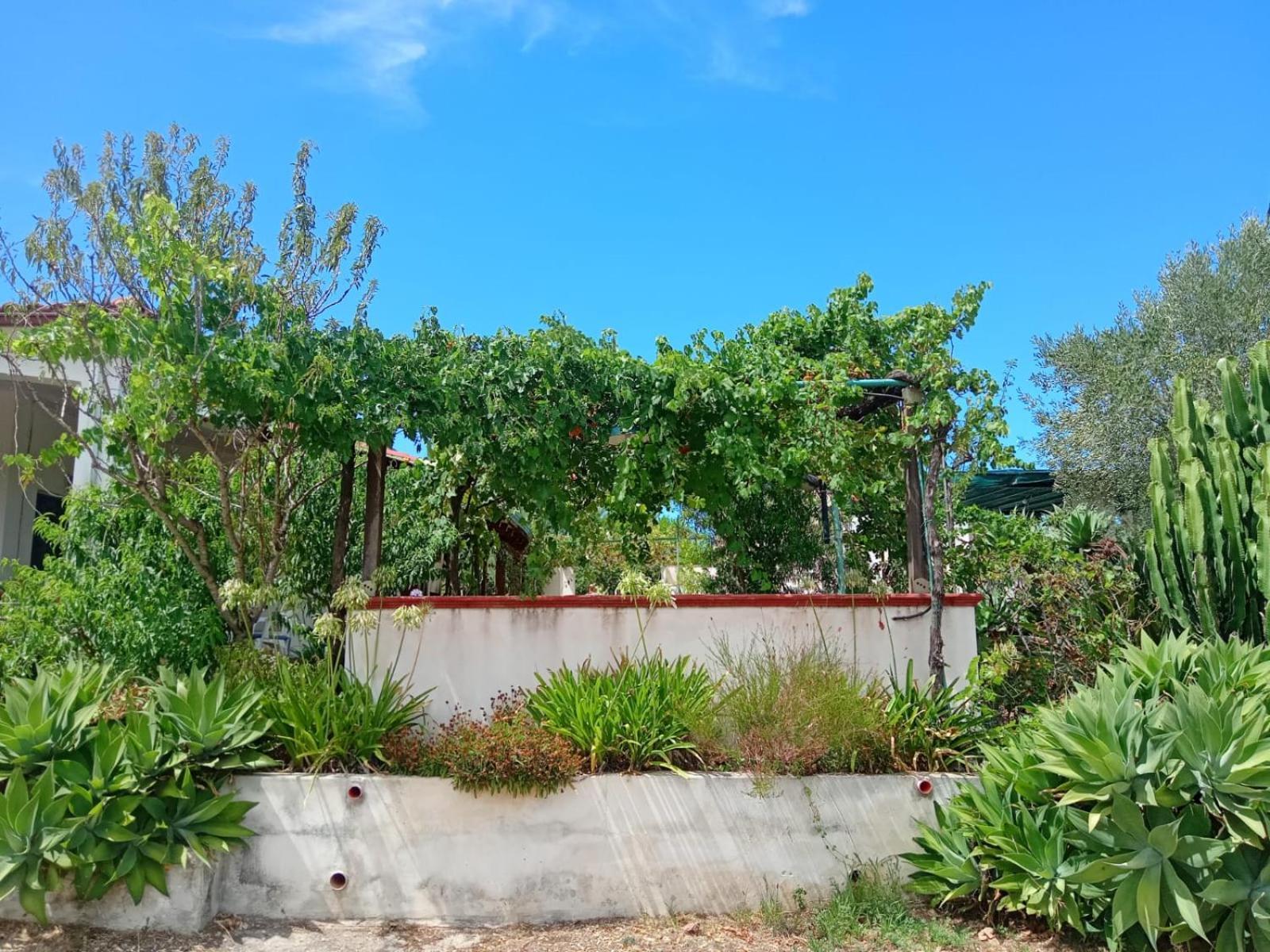 Villa Del Sole Specchiolla Exterior photo